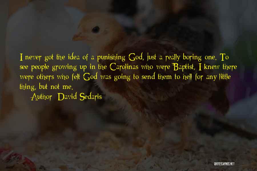 Ideas Growing Quotes By David Sedaris