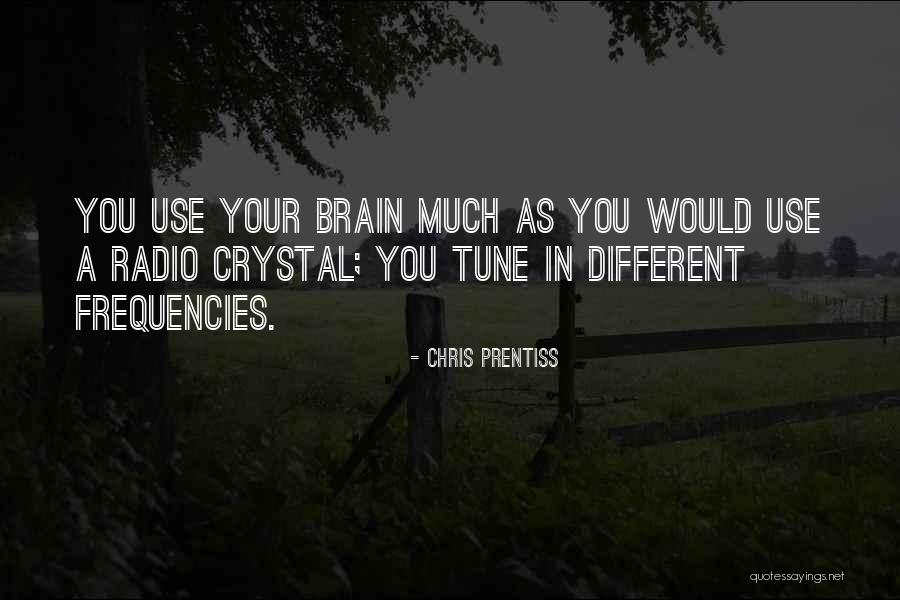 Ideas Quotes Quotes By Chris Prentiss Ideas Quotes Quotes By Chris Prentiss