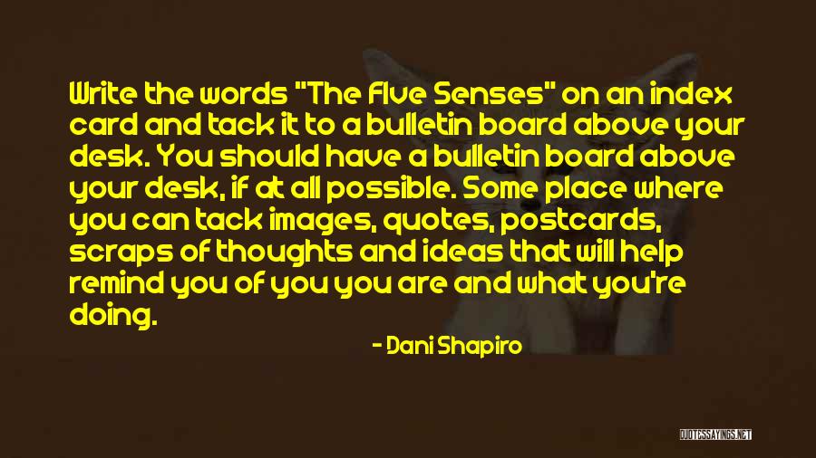 Ideas Quotes Quotes By Dani Shapiro Ideas Quotes Quotes By Dani Shapiro