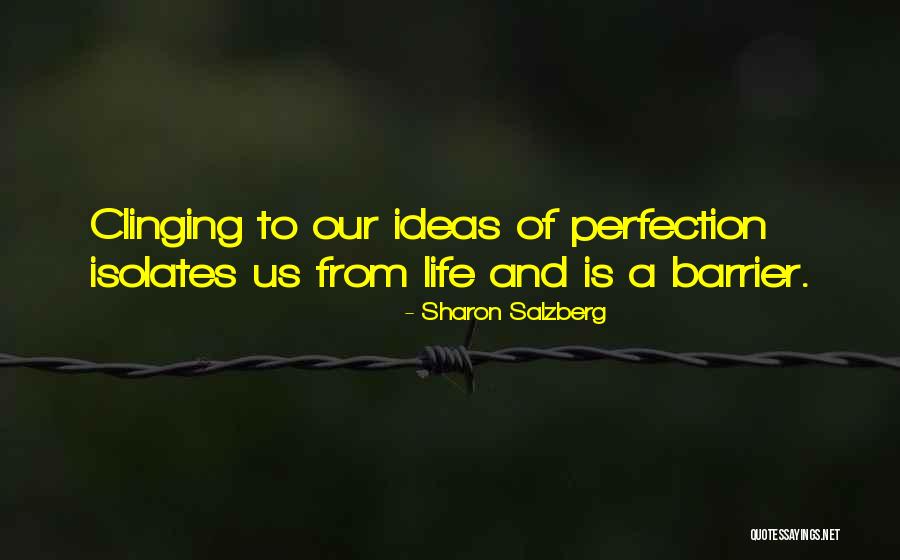 Ideas Quotes Quotes By Sharon Salzberg Ideas Quotes Quotes By Sharon Salzberg
