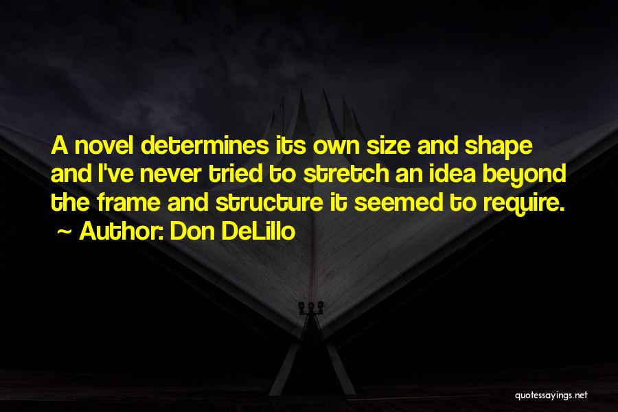 Ideas To Frame Quotes By Don DeLillo