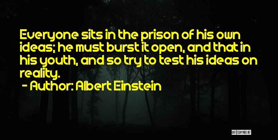 Ideas To Reality Quotes By Albert Einstein