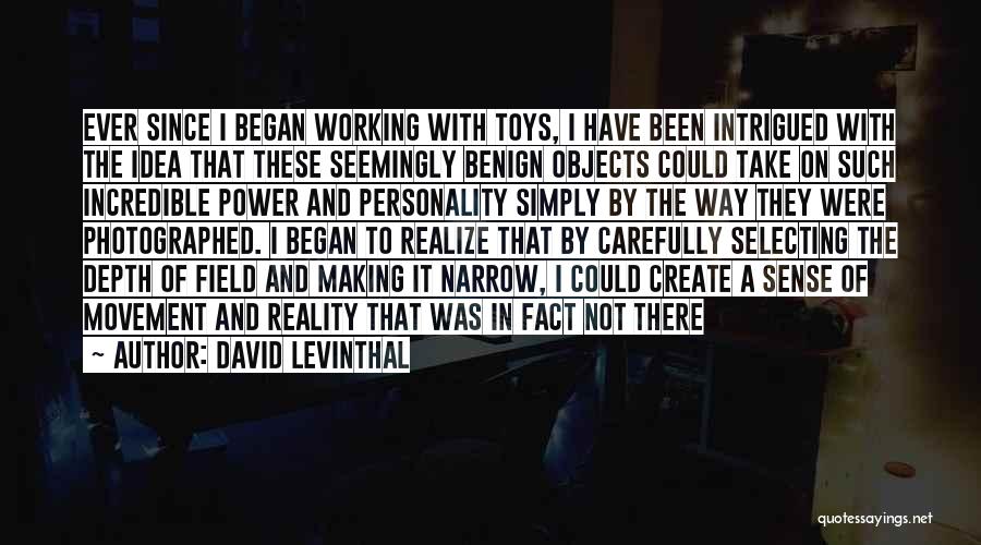 Ideas To Reality Quotes By David Levinthal