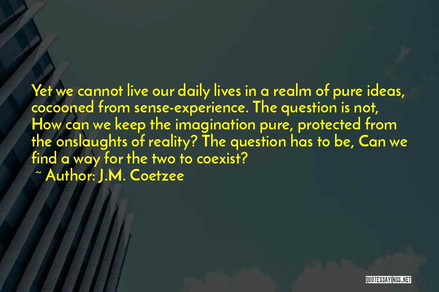 Ideas To Reality Quotes By J.M. Coetzee