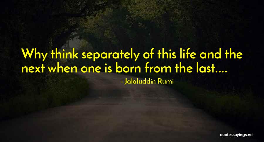 Ideen Kursbuch Quotes By Jalaluddin Rumi