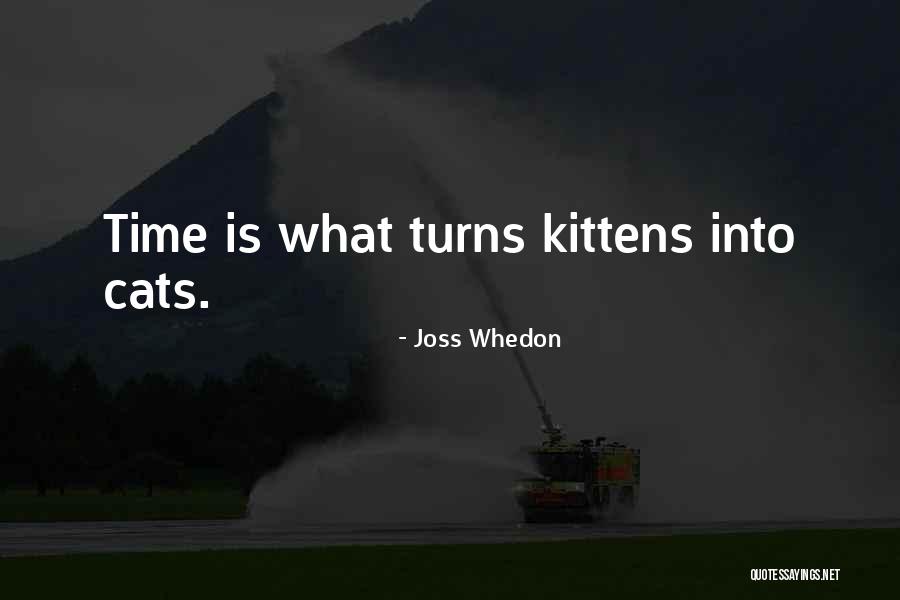 Identidad Significado Quotes By Joss Whedon Identidad Significado Quotes By Joss Whedon