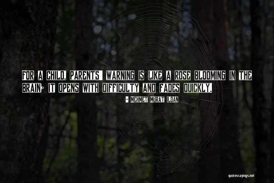Identificacion Consular Quotes By Mehmet Murat Ildan Identificacion Consular Quotes By Mehmet Murat Ildan