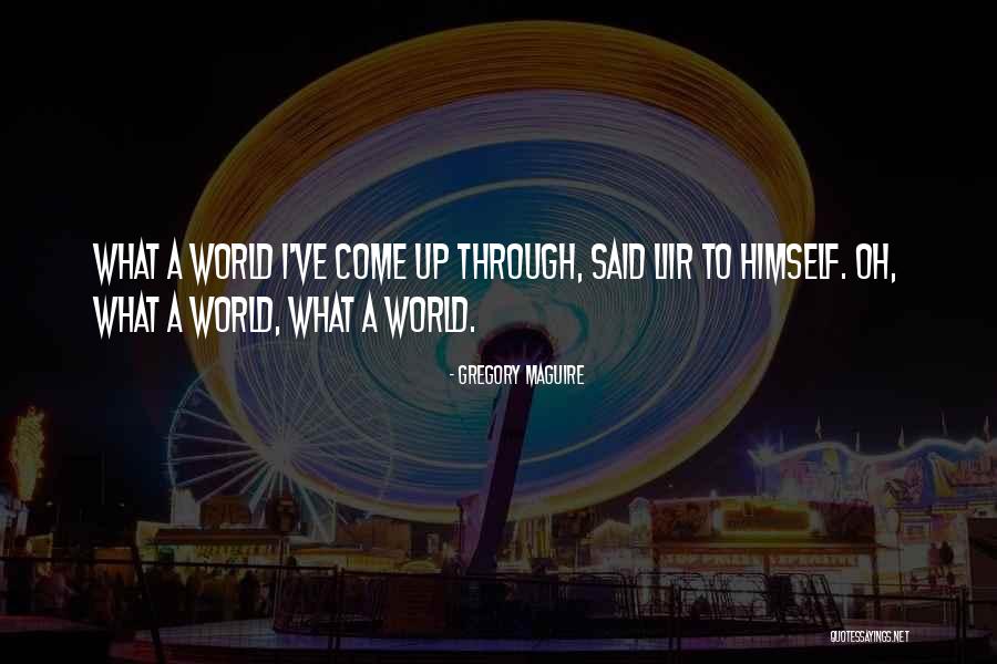 Identifico Reduso Quotes By Gregory Maguire Identifico Reduso Quotes By Gregory Maguire