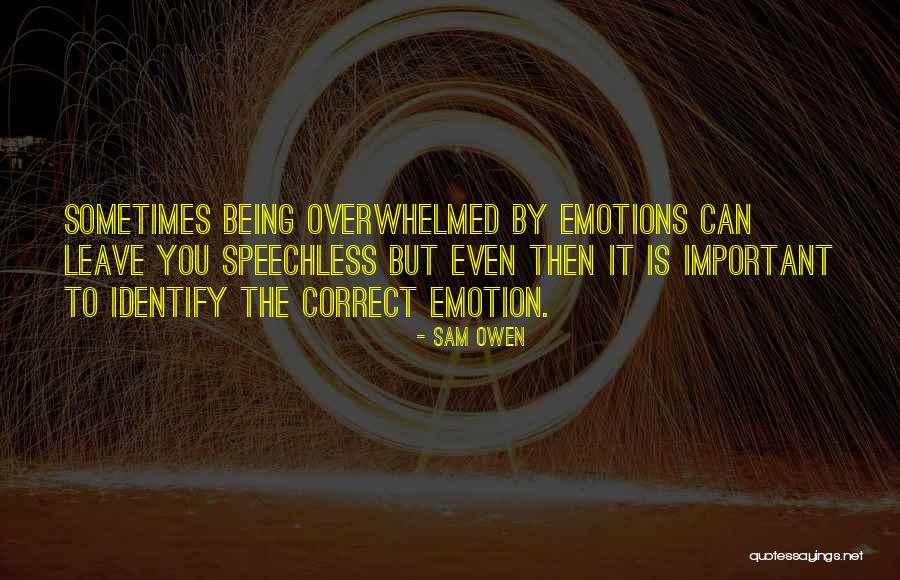 Identify And Correct Quotes By Sam Owen Identify And Correct Quotes By Sam Owen
