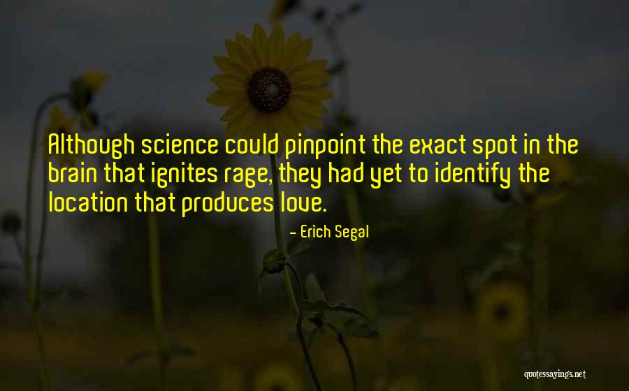 Identify Love Quotes By Erich Segal Identify Love Quotes By Erich Segal