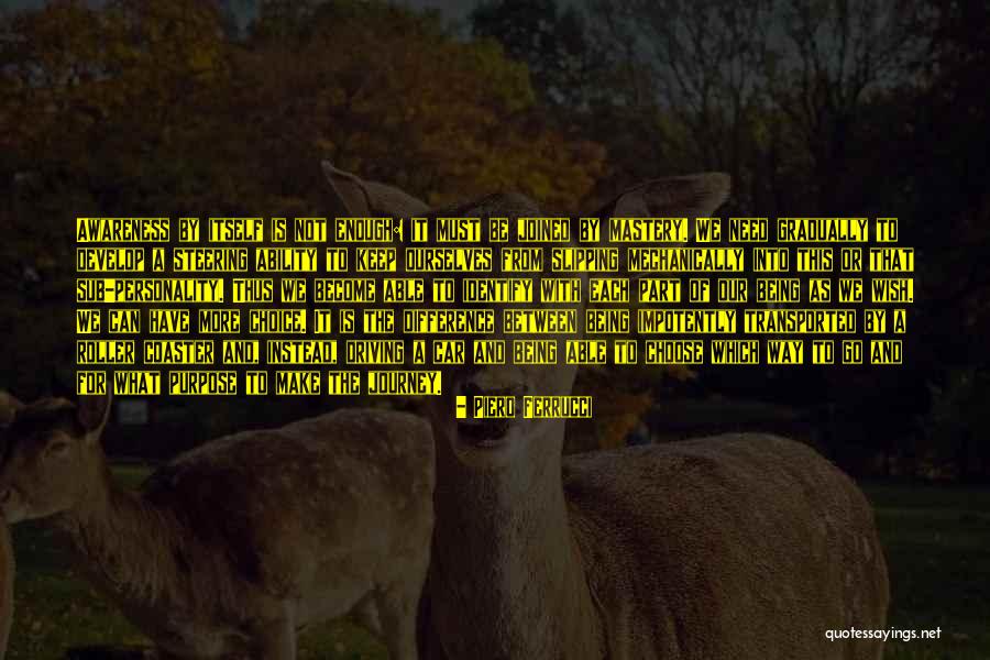 Identify With Quotes By Piero Ferrucci Identify With Quotes By Piero Ferrucci