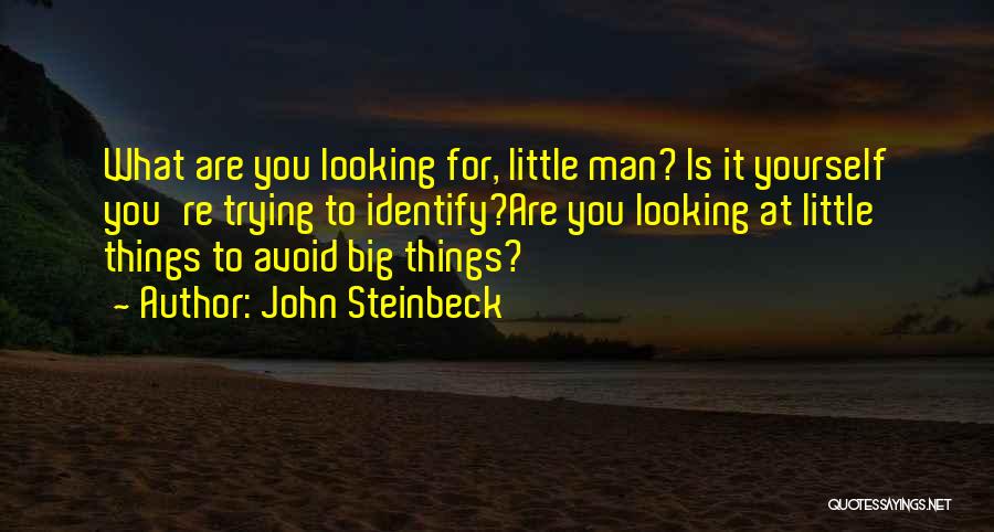 Identify Yourself Quotes By John Steinbeck