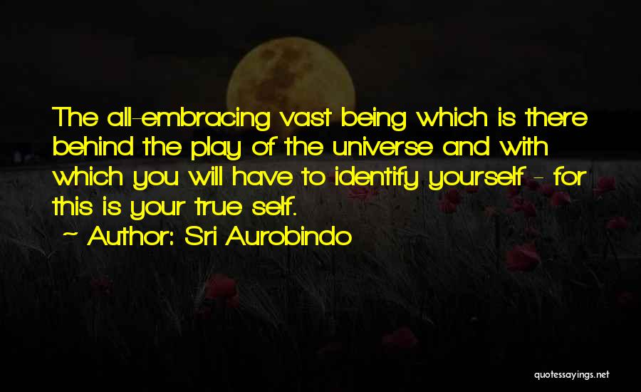 Identify Yourself Quotes By Sri Aurobindo