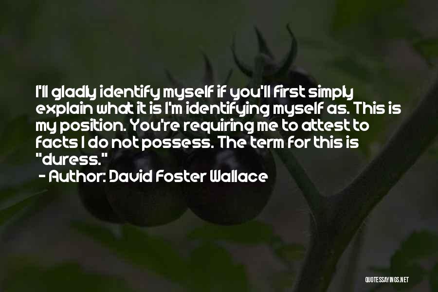 Identifying Quotes By David Foster Wallace