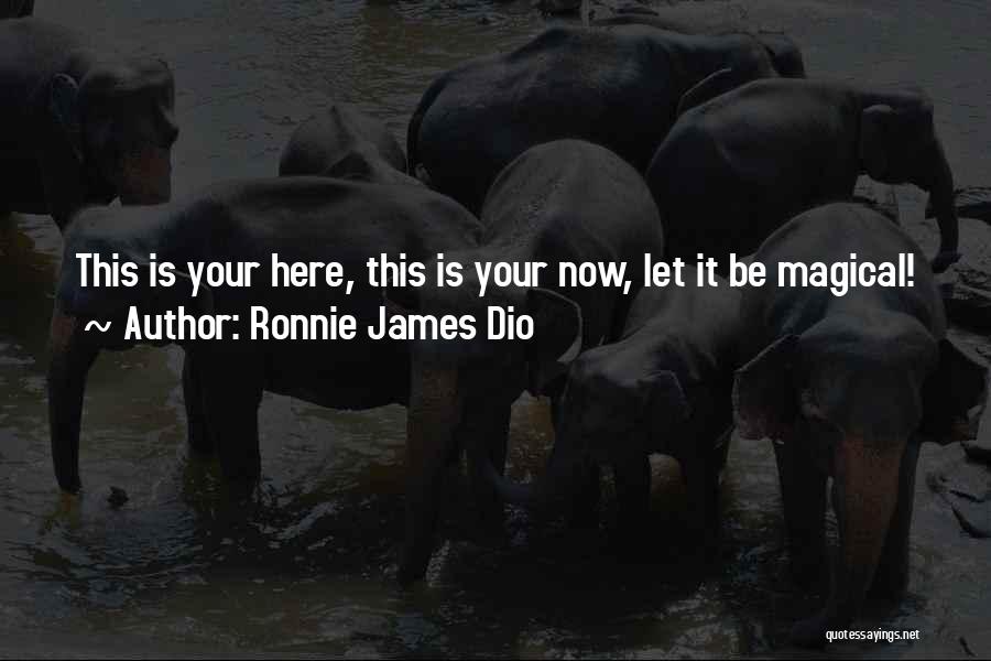 Identiquest Quotes By Ronnie James Dio