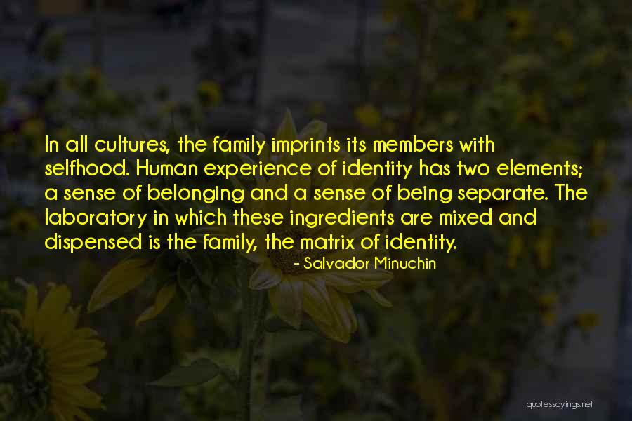 Identity And Belonging Quotes By Salvador Minuchin Identity And Belonging Quotes By Salvador Minuchin