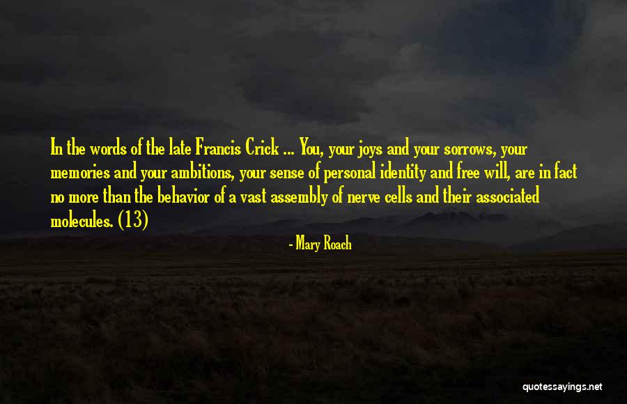 Identity And Memories Quotes By Mary Roach Identity And Memories Quotes By Mary Roach