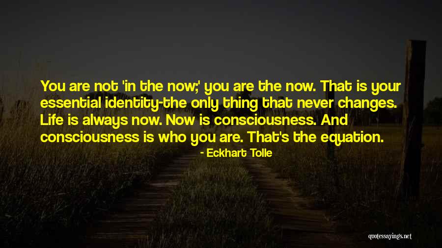 Identity Changing Quotes By Eckhart Tolle Identity Changing Quotes By Eckhart Tolle
