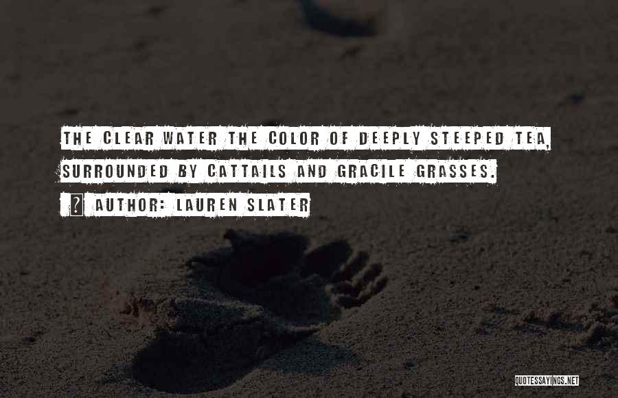 Identity In The Color Of Water Quotes By Lauren Slater