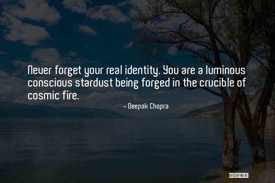 Identity In The Crucible Quotes By Deepak Chopra Identity In The Crucible Quotes By Deepak Chopra