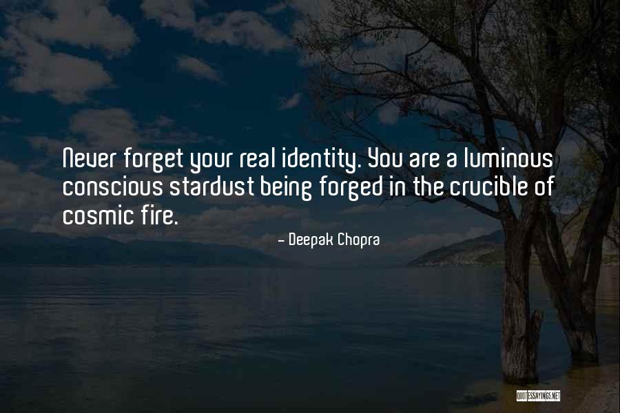 Identity In The Crucible Quotes By Deepak Chopra