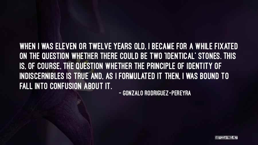 Identity Of Indiscernibles Quotes By Gonzalo Rodriguez-Pereyra Identity Of Indiscernibles Quotes By Gonzalo Rodriguez-Pereyra