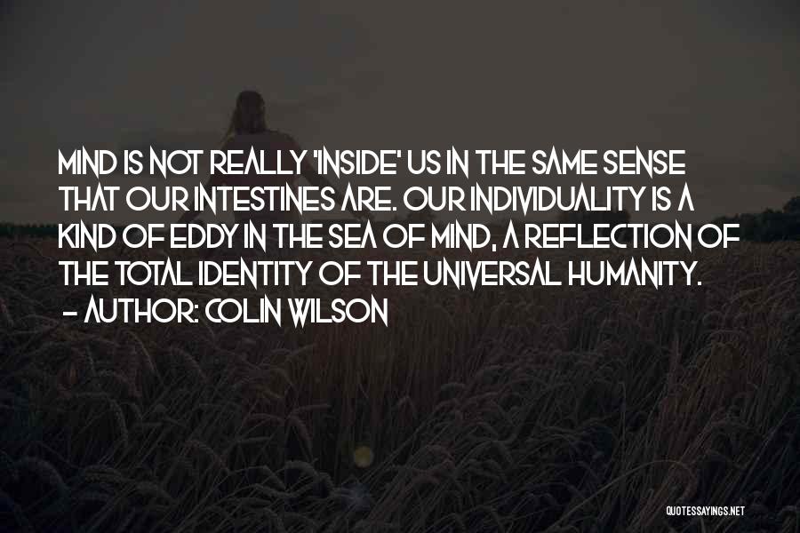 Identity Quotes By Colin Wilson