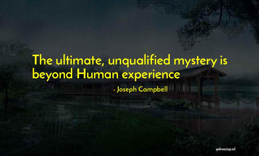Identity Theory Interview Quotes By Joseph Campbell Identity Theory Interview Quotes By Joseph Campbell