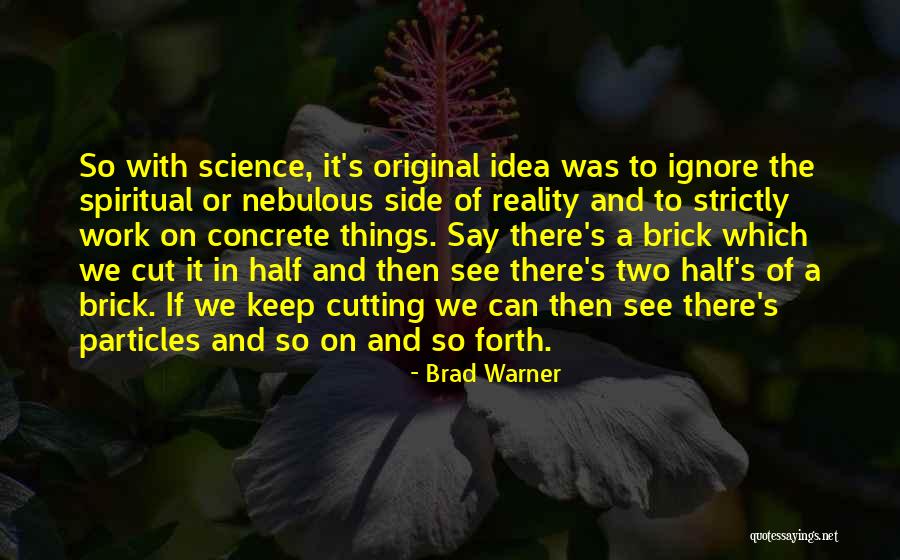Idias Ofr Quotes By Brad Warner Idias Ofr Quotes By Brad Warner