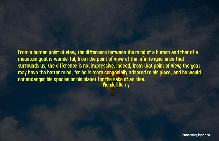 Idiculla Herndon Quotes By Wendell Berry Idiculla Herndon Quotes By Wendell Berry