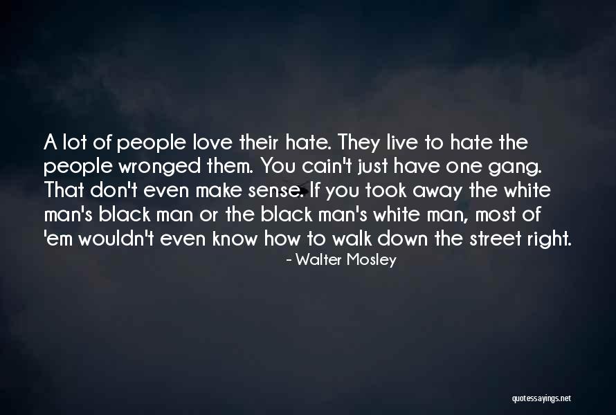 Idini Ramadan Quotes By Walter Mosley Idini Ramadan Quotes By Walter Mosley