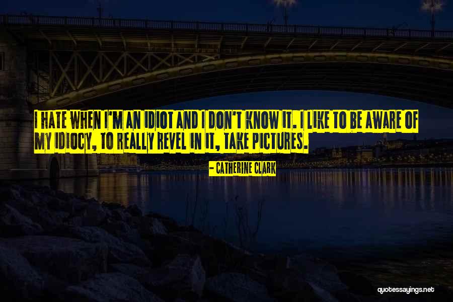 Idiocy Quotes By Catherine Clark Idiocy Quotes By Catherine Clark