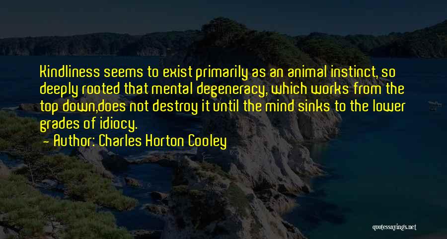 Idiocy Quotes By Charles Horton Cooley
