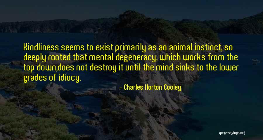 Idiocy Quotes By Charles Horton Cooley