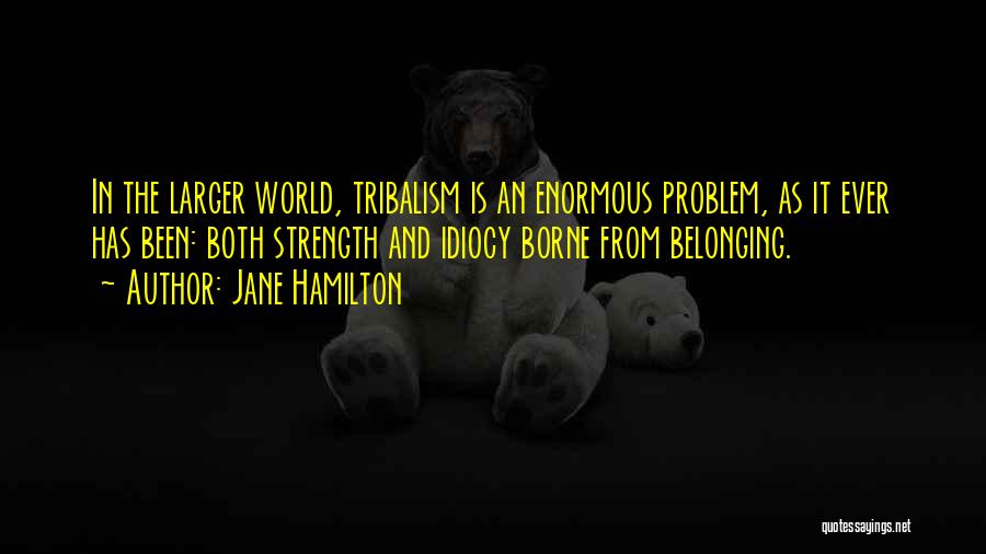 Idiocy Quotes By Jane Hamilton