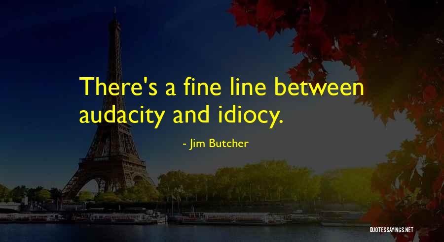 Idiocy Quotes By Jim Butcher