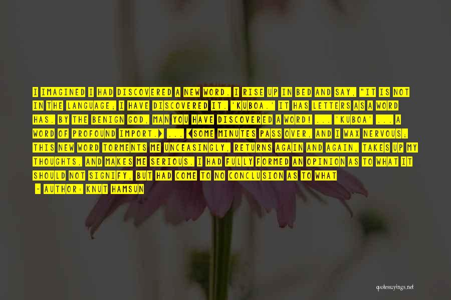 Idiocy Quotes By Knut Hamsun Idiocy Quotes By Knut Hamsun