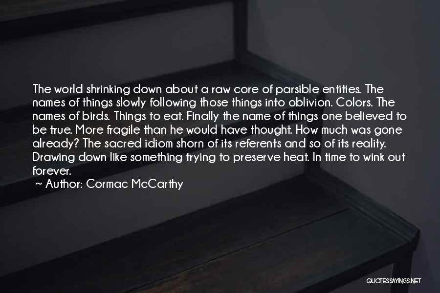 Idiom Quotes By Cormac McCarthy