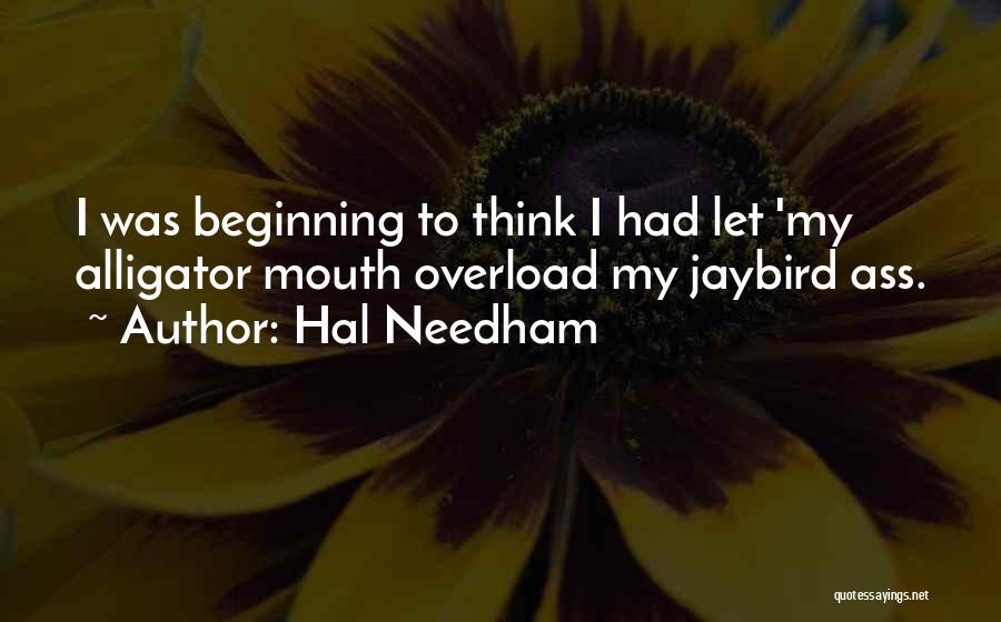 Idiom Quotes By Hal Needham