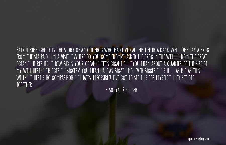 Idiome Afrikaans Quotes By Sogyal Rinpoche Idiome Afrikaans Quotes By Sogyal Rinpoche