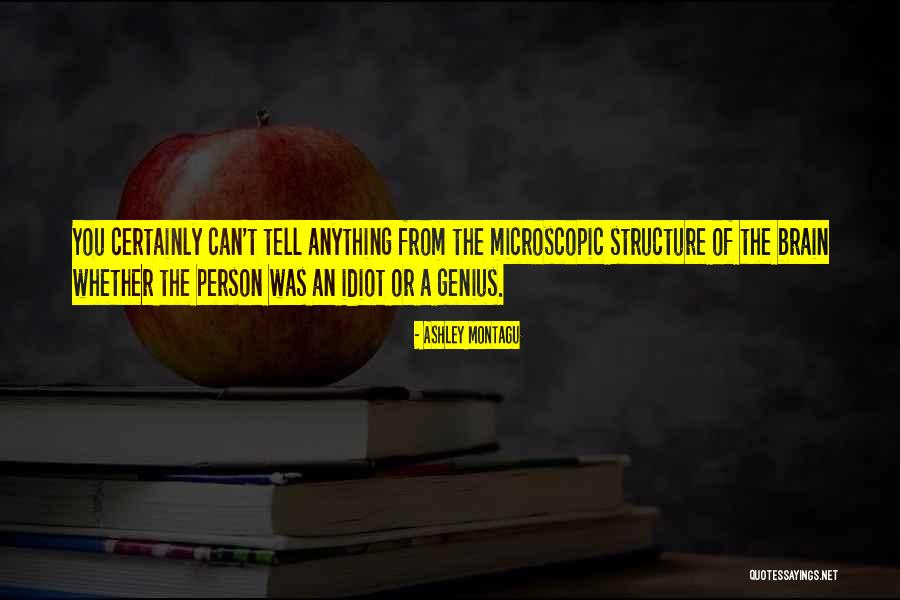 Idiot Person Quotes By Ashley Montagu Idiot Person Quotes By Ashley Montagu