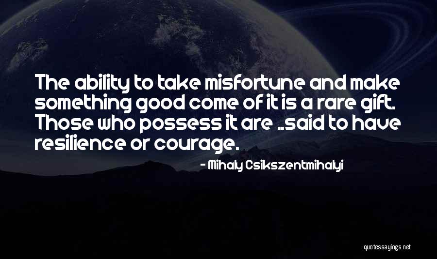 Idiotypes Quotes By Mihaly Csikszentmihalyi