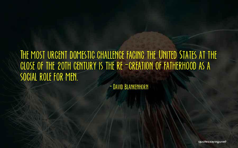 Idiozia Significato Quotes By David Blankenhorn Idiozia Significato Quotes By David Blankenhorn