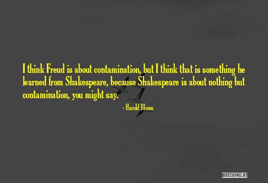 Idle Man In Elders Plaza Quotes By Harold Bloom Idle Man In Elders Plaza Quotes By Harold Bloom