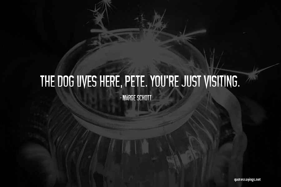 Idle Mania Quotes By Marge Schott Idle Mania Quotes By Marge Schott