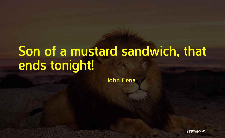 Idolaters Pronounce Quotes By John Cena Idolaters Pronounce Quotes By John Cena