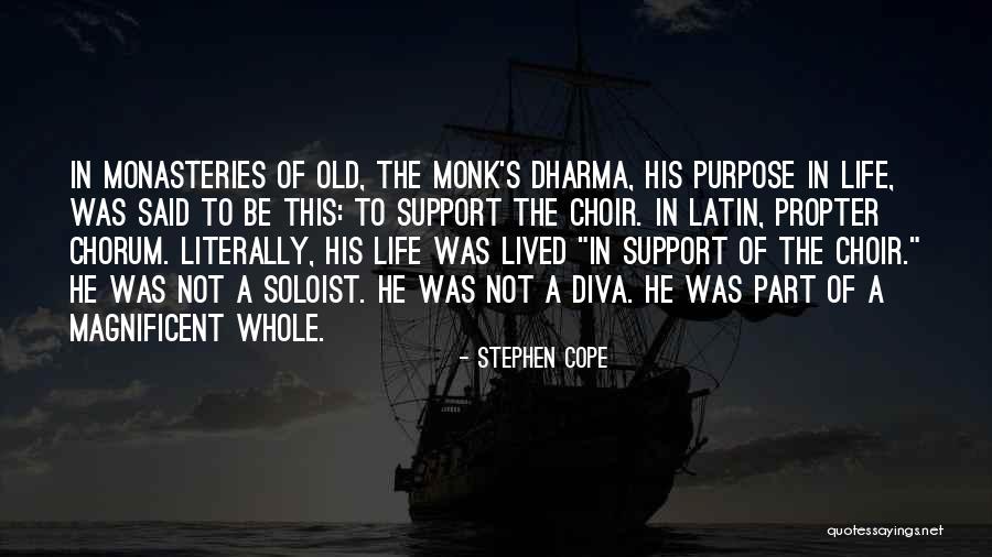 Idolator Quotes By Stephen Cope Idolator Quotes By Stephen Cope