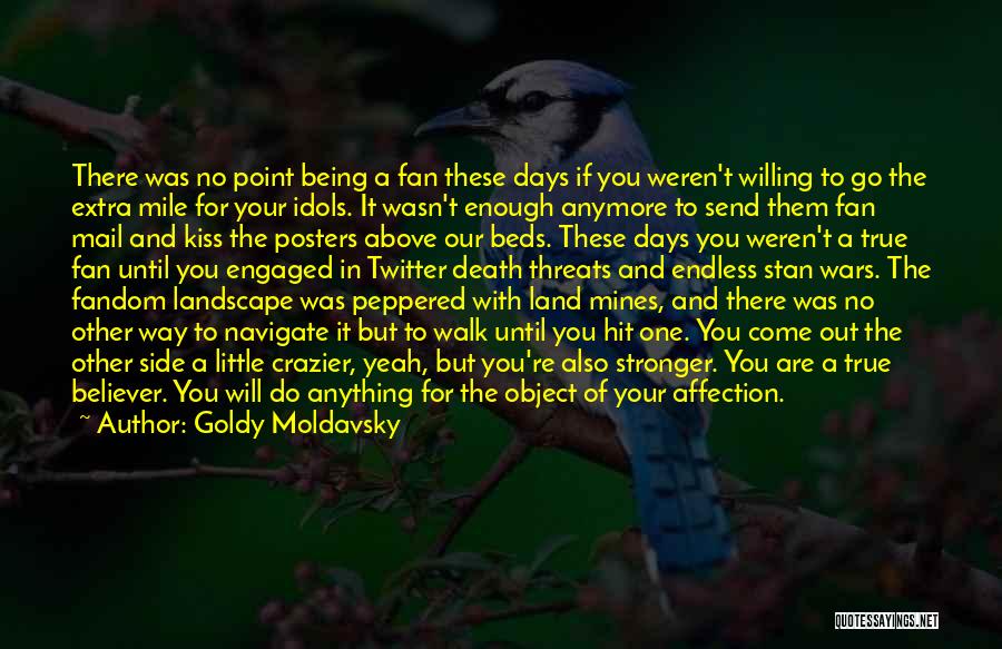 Idols And Fans Quotes By Goldy Moldavsky