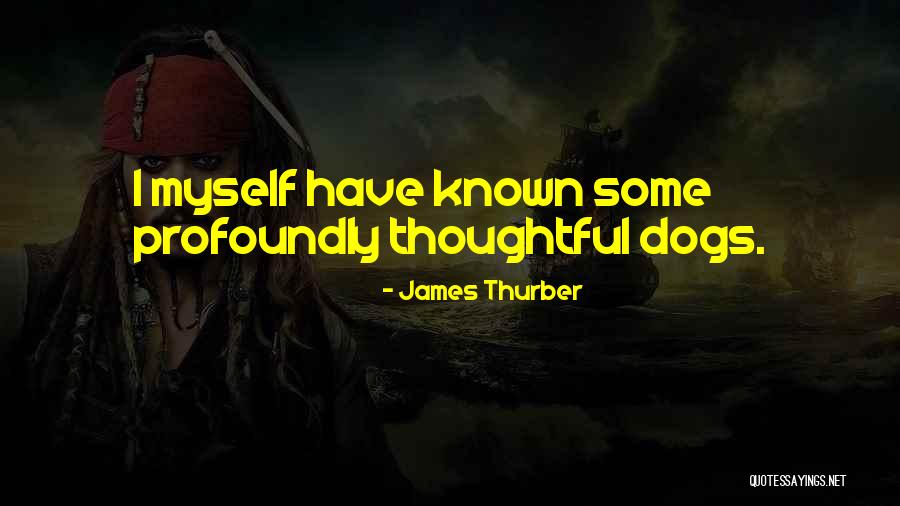 Idowu Adenekan Quotes By James Thurber Idowu Adenekan Quotes By James Thurber