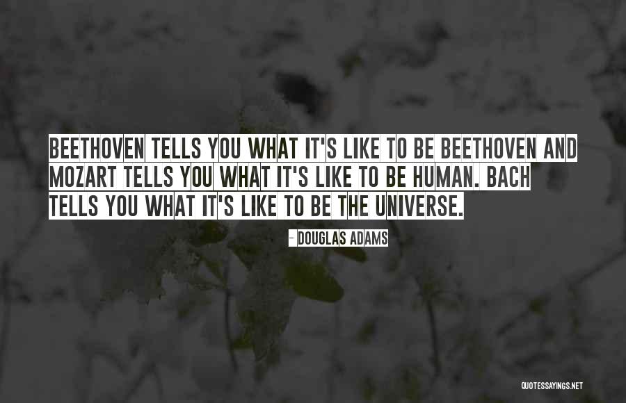 Idowu Ipaye Quotes By Douglas Adams Idowu Ipaye Quotes By Douglas Adams